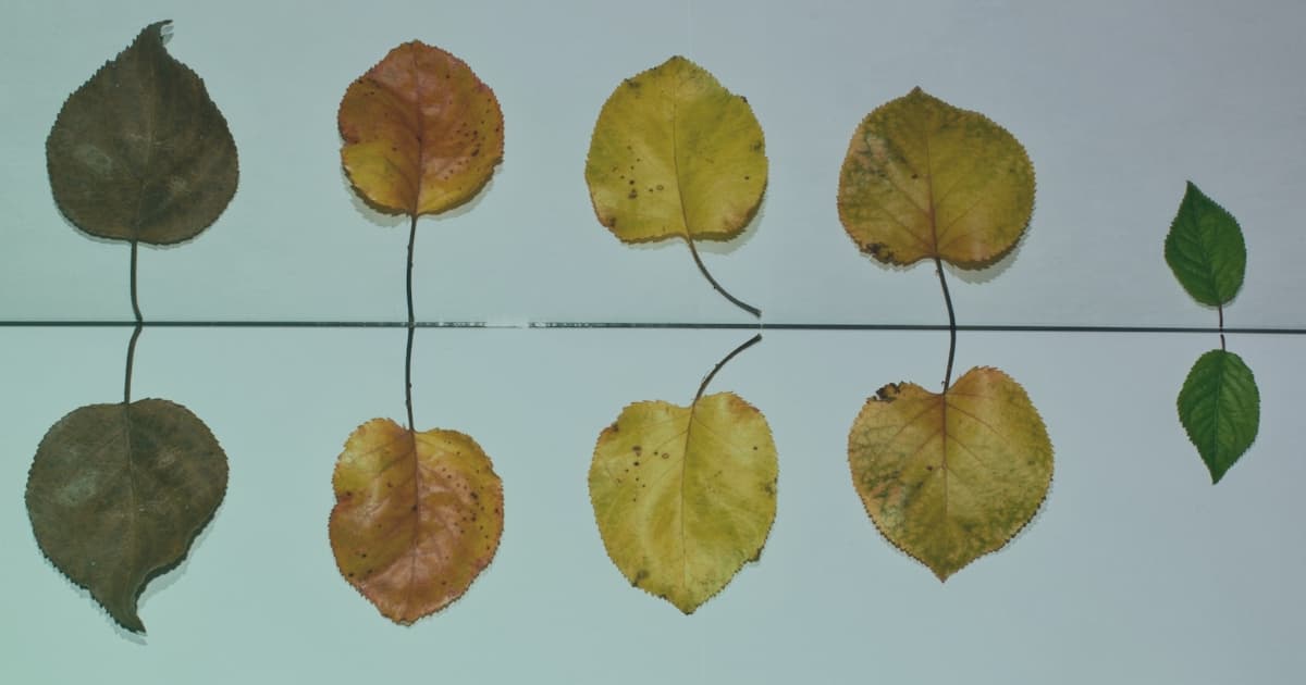 Überblick über die Arten der Beschlussfassung